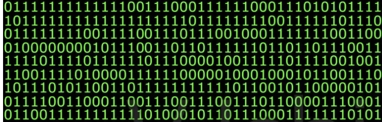 image-20251125141756147