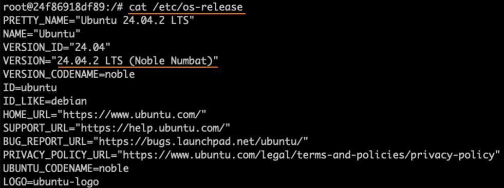 image-20251210170752006