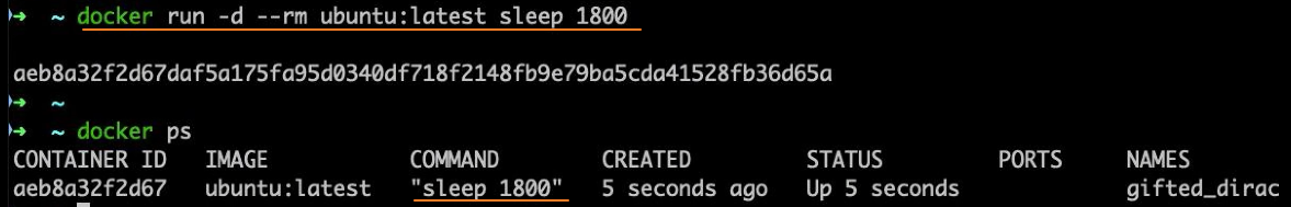 image-20251210172135382