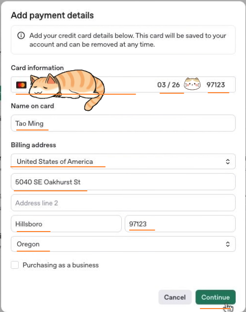 image-20251211114853379