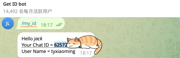 image-20251211131710945