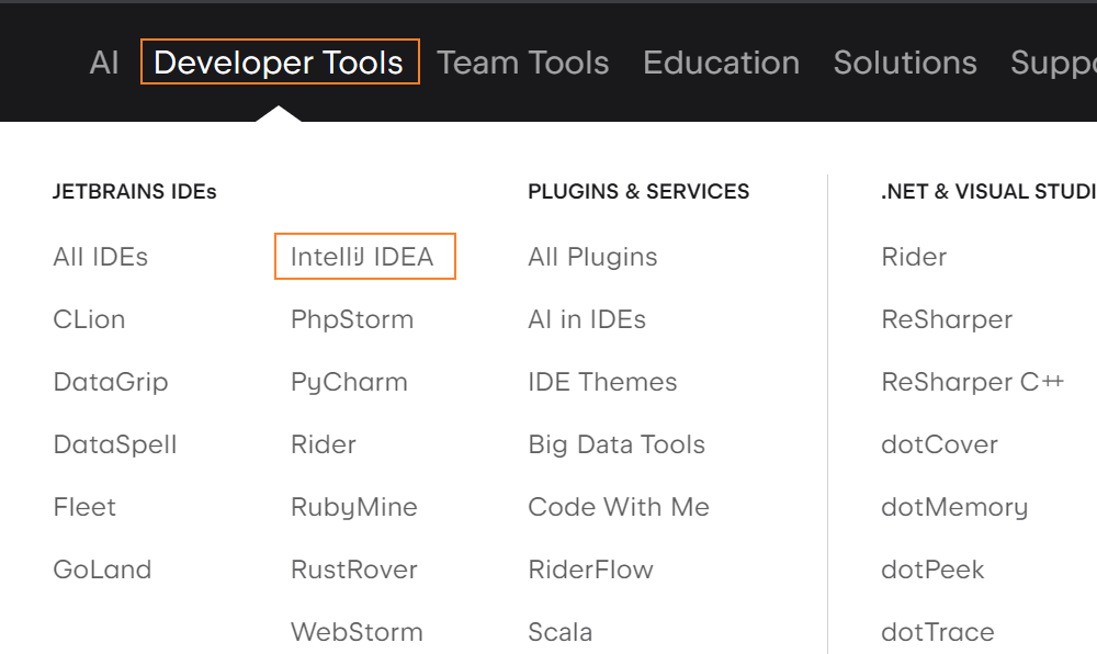 访问官网，在`Developer Tools` 中选择 `IntelliJ IDEA`